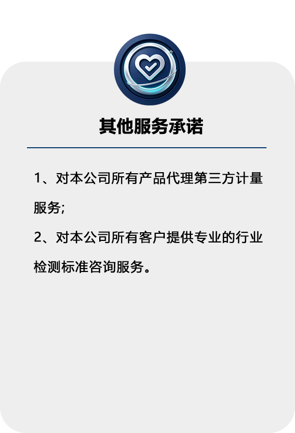其他服务承诺